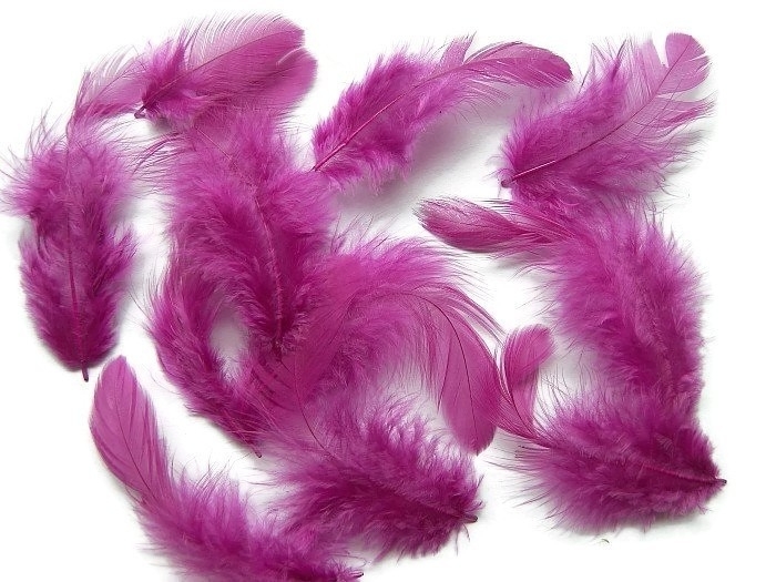 Veren Eggplant (10st)