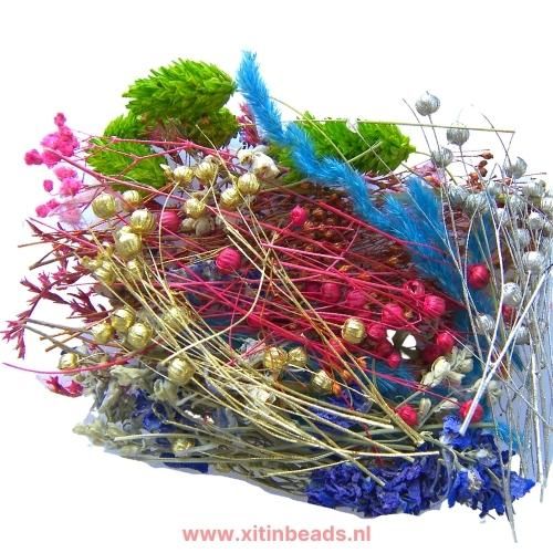 Bakje met Gedroogde bloemen voor epoxy resin giethars