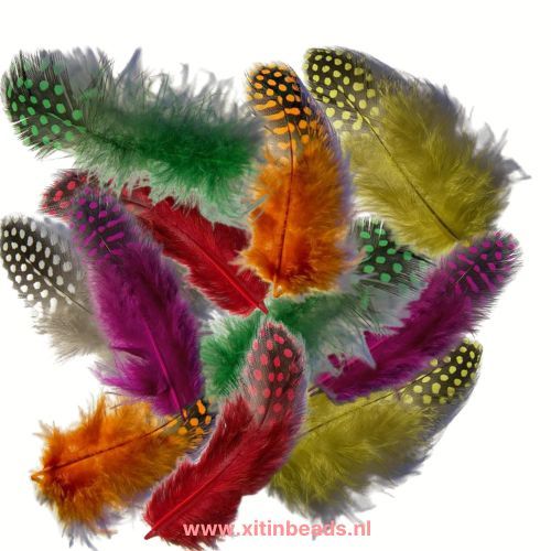 Veren gepareld parelhoen