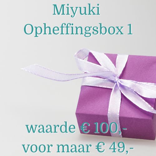 Miyuki Opheffingsbox 1 miyuki kralen